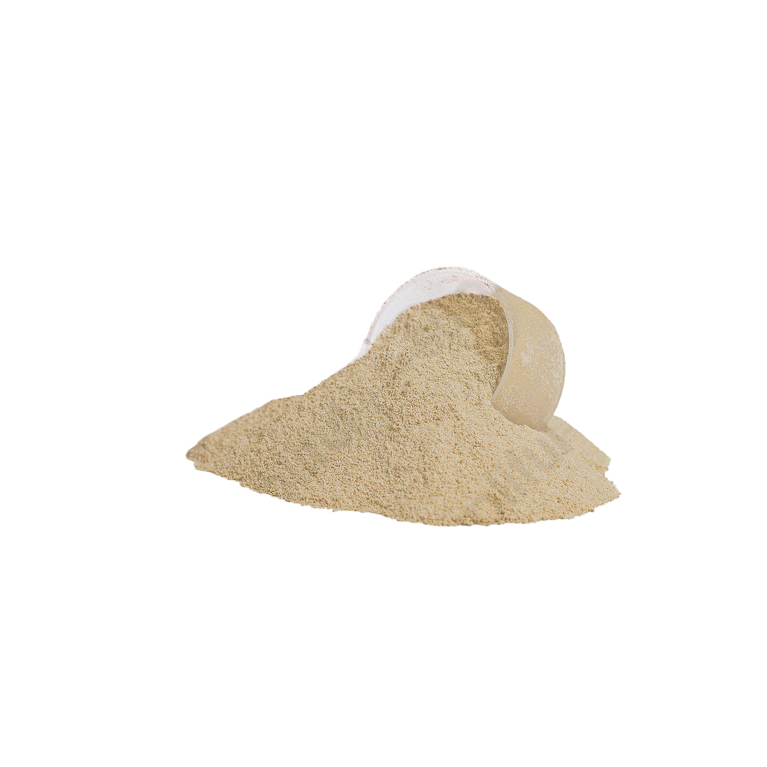 Advanced Whey Protein Isolate (Vanilla)